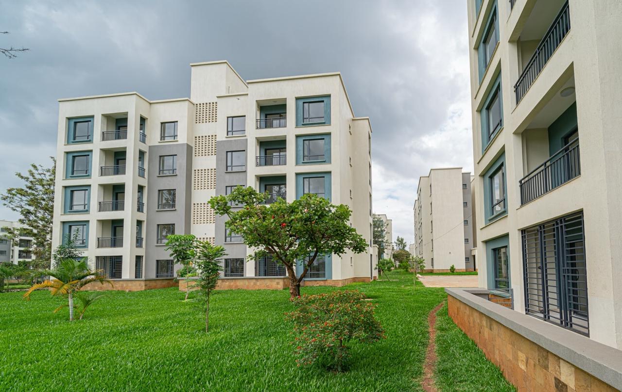 northlands image portrait.jpeg